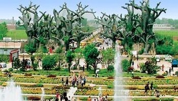 禹州森林植物园