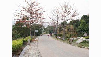 紫云岩-福建省漳州龙海市紫云岩