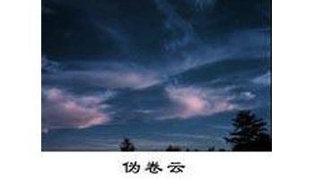 伪卷云