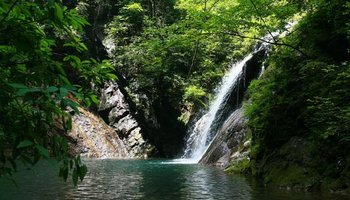 铁山坪森林公园