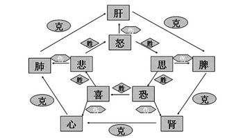 七情活动对机体生理功能起着协调作用