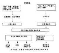 弥散性血管内凝血