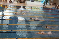4x100自由泳接力赛图片
