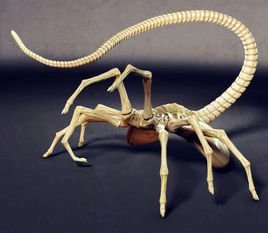 抱脸虫寄生美女漫画