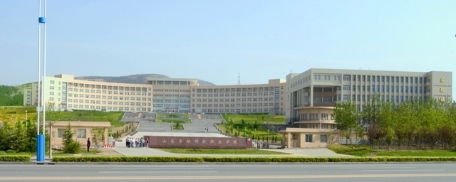 山东杏林科技职业学院