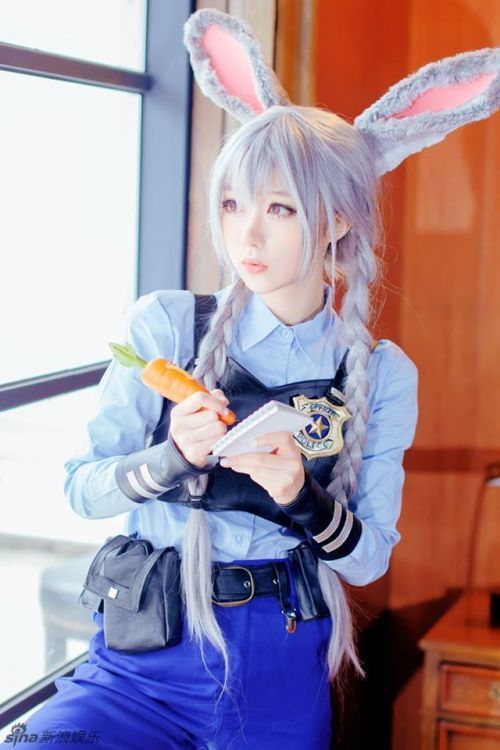 疯狂动物城兔子警官完整视频 t011b3192c9d564b916.jpg?size=500x750