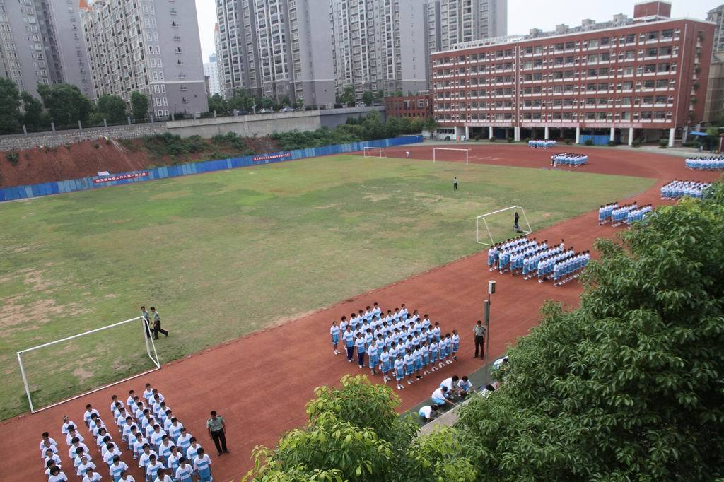 重庆求精中学和重庆第十八中学哪个更好_重庆国本中学_野兽国绘本