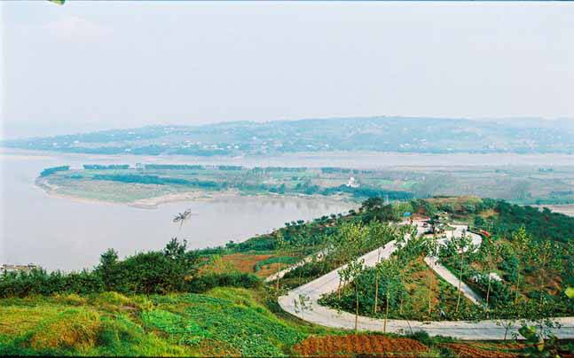 龙马潭区