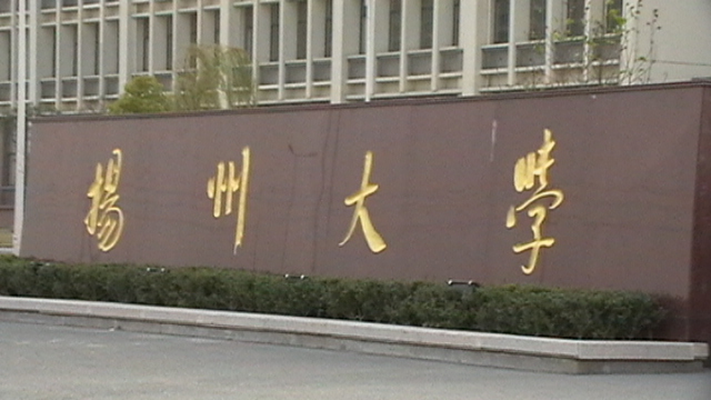 2010年扬州大学外国美术史考研真题考研试题硕士研究生入学考试试题