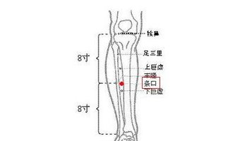 条口透承山 360搜索