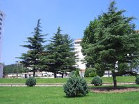 (图)威海市立医院 (图)威海市立医院