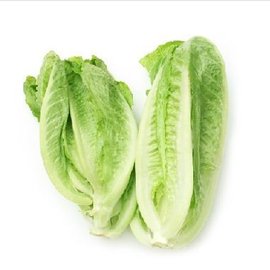 罗马生菜_360百科